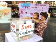 จังซีลอน” เชิญชวนอนุรักษ์ช้างไทย
